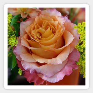 Rose Popping out of a Bouquet Photographic Image Sticker